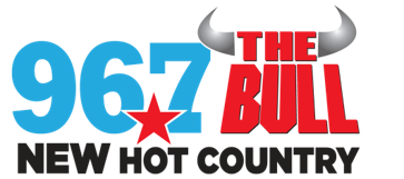The Bull Logo